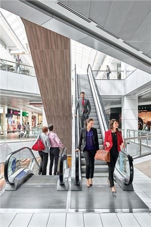 Dopravní eskalátor